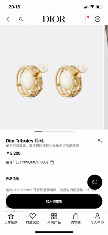 Dior Earring 04lyr420 (7)